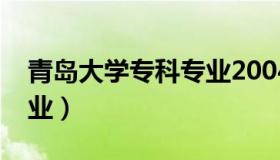 青岛大学专科专业2004年（青岛大学专科专业）