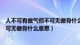 人不可有傲气但不可无傲骨什么意思呢（人不可有傲气但不可无傲骨什么意思）