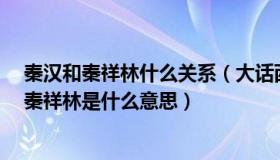 秦汉和秦祥林什么关系（大话西游 中至尊宝说自己师秦汉 秦祥林是什么意思）