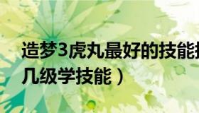 造梦3虎丸最好的技能搭配（造梦西游3虎丸几级学技能）