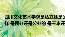 四川文化艺术学院是私立还是公立（四川文化艺术学院怎么样 是民办还是公办的 是三本还是二本）