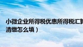 小微企业所得税优惠所得税汇算清缴（小微企业所得税汇算清缴怎么填）