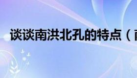 谈谈南洪北孔的特点（南洪北孔名词解释）