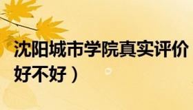 沈阳城市学院真实评价（沈阳城市学院怎么样好不好）