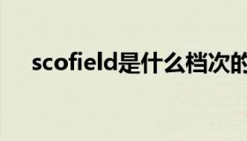 scofield是什么档次的牌子（scofield）