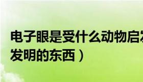 电子眼是受什么动物启发发明的（受动物启发发明的东西）