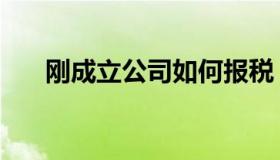 刚成立公司如何报税（公司如何报税）