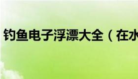 钓鱼电子浮漂大全（在水库钓鱼用什么浮漂）