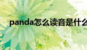 panda怎么读音是什么（panda怎么读）