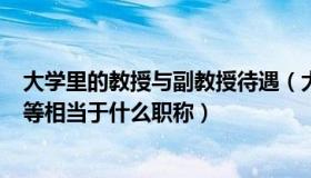 大学里的教授与副教授待遇（大学教授 副教授 讲师 助教等等相当于什么职称）