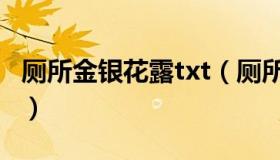 厕所金银花露txt（厕所金银花露在线阅读txt）