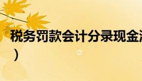 税务罚款会计分录现金流（税务罚款会计分录）