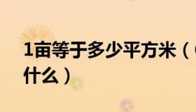 1亩等于多少平方米（6什么加10什么等于1什么）