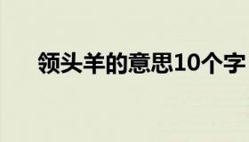 领头羊的意思10个字（领头羊的意思）