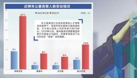 一家公司居然有17位副总