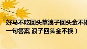 好马不吃回头草浪子回头金不换辩论赛（好马不吃回头草下一句答案 浪子回头金不换）