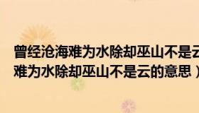 曾经沧海难为水除却巫山不是云的意思暗指什么（曾经沧海难为水除却巫山不是云的意思）