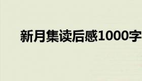 新月集读后感1000字（新月集读后感）