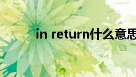 in return什么意思（in return）