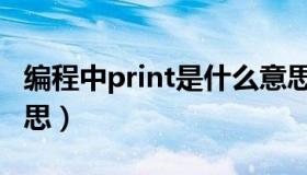 编程中print是什么意思中文（print是什么意思）