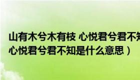 山有木兮木有枝 心悦君兮君不知是哪个歌（山有木兮木有枝心悦君兮君不知是什么意思）