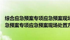 综合应急预案专项应急预案现场处置方案编制内容（综合应急预案专项应急预案现场处置方案）