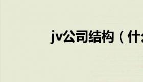 jv公司结构（什么是jv公司）