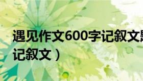 遇见作文600字记叙文题材（遇见作文600字记叙文）