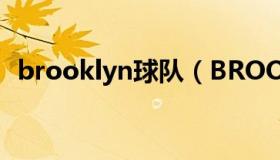 brooklyn球队（BROOKLYN是什么意思）