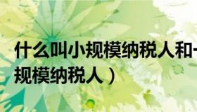 什么叫小规模纳税人和一般纳税人（什么叫小规模纳税人）