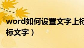 word如何设置文字上标（WORD如何设置上标文字）