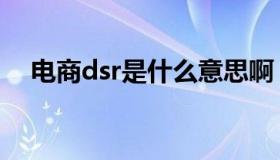 电商dsr是什么意思啊（dsr是什么意思）