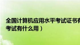 全国计算机应用水平考试证书有用吗（全国计算机应用能力考试有什么用）