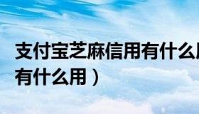 支付宝芝麻信用有什么用呢（支付宝芝麻信用有什么用）