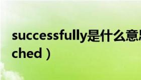 successfully是什么意思（successfully patched）