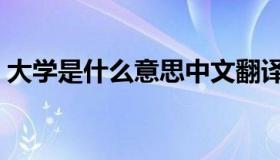 大学是什么意思中文翻译（大学是什么意思）