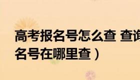 高考报名号怎么查 查询方法有哪些（高考报名号在哪里查）