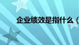 企业绩效是指什么（绩效是指什么）