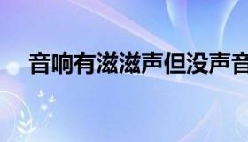 音响有滋滋声但没声音（音响有滋滋声）