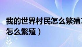 我的世界村民怎么繁殖1.12.2（我的世界村民怎么繁殖）