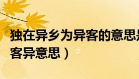 独在异乡为异客的意思是什么（独在异乡为异客异意思）