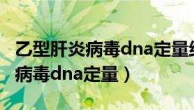 乙型肝炎病毒dna定量结果怎么看（乙型肝炎病毒dna定量）