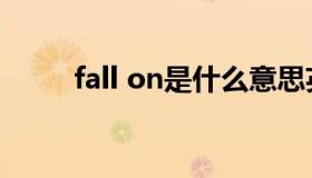 fall on是什么意思英语（fall on）