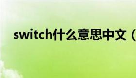 switch什么意思中文（switch什么意思）