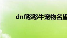 dnf憨憨牛宠物名望（dnf憨憨牛）