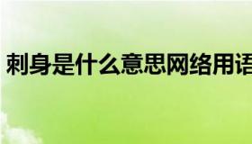 刺身是什么意思网络用语（刺身是什么意思）