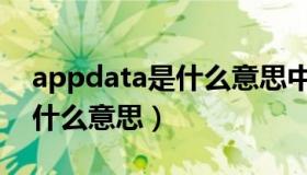 appdata是什么意思中文翻译（appdata是什么意思）