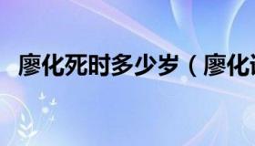 廖化死时多少岁（廖化误杀了多少自己人）