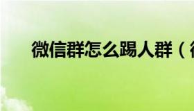 微信群怎么踢人群（微信群怎么踢人）