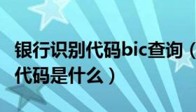 银行识别代码bic查询（请问一下SWIFT  BIC代码是什么）